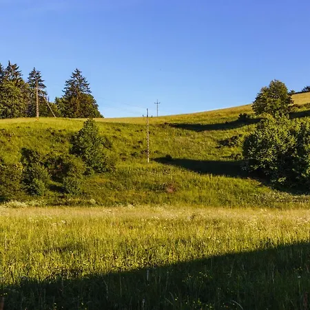 Osrodek Wypoczynkowy Maria W Lewinie Klodzkim - Maria I リゾート *